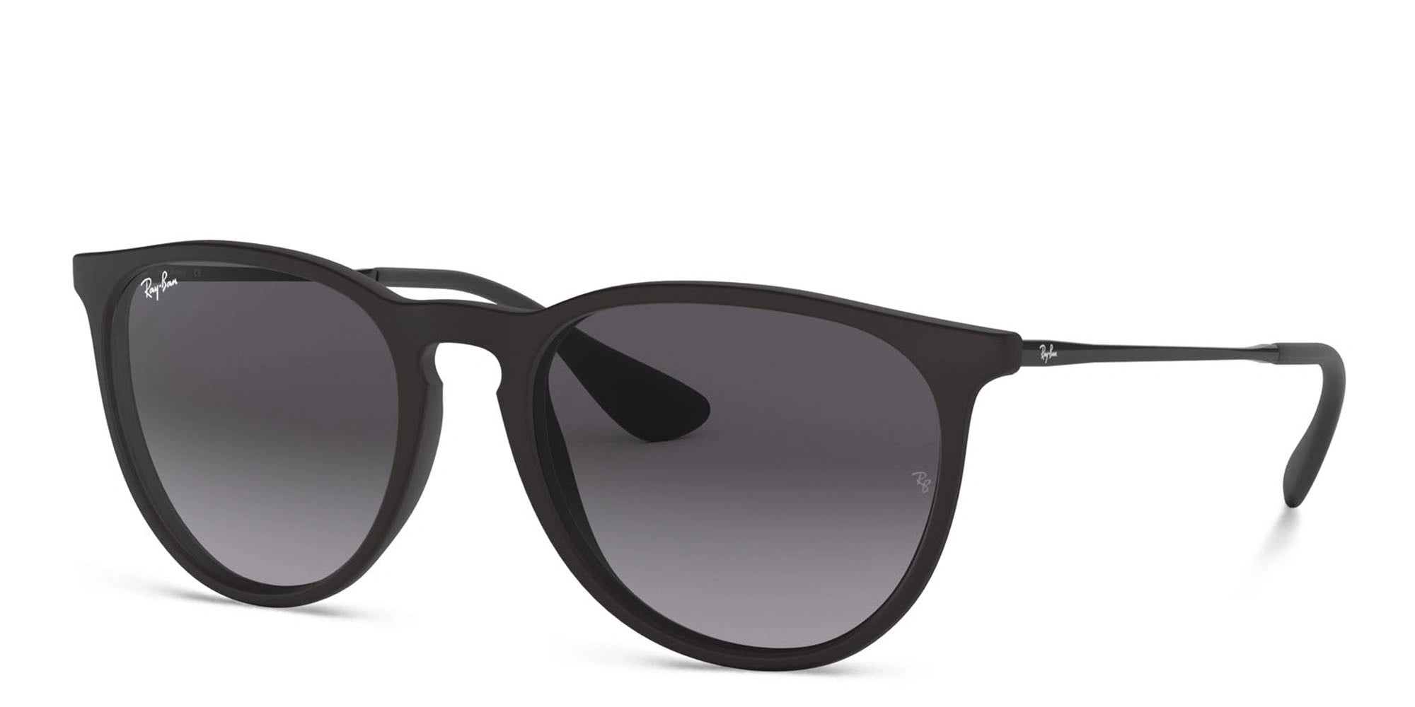 Ray-Ban Erika Panthos Sunglasses